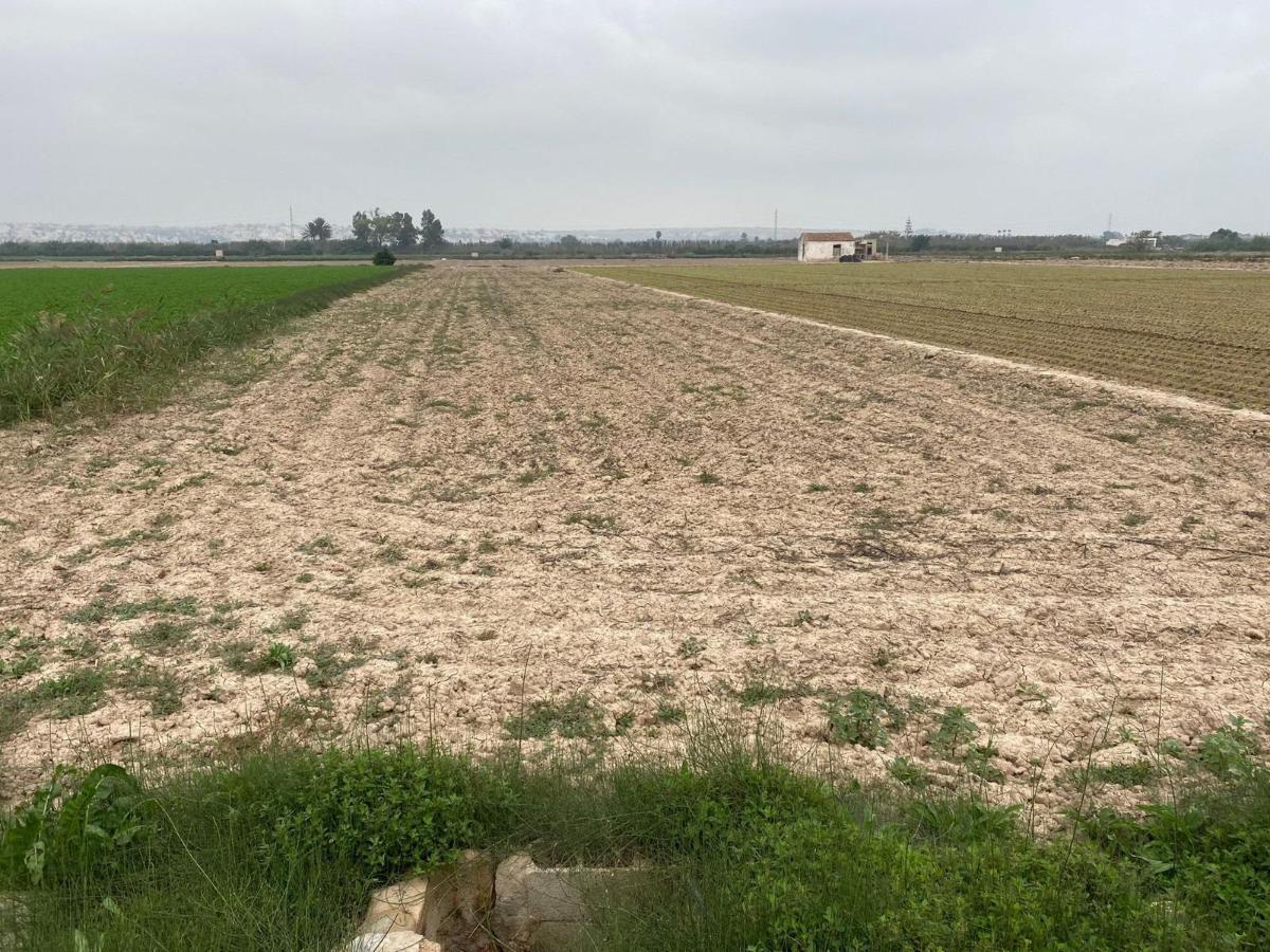 Land plot à Guardamar del Segura, Alicante, Espagne No. 183901