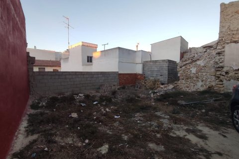 Działka w Rojales, Alicante, Hiszpania nr 183900