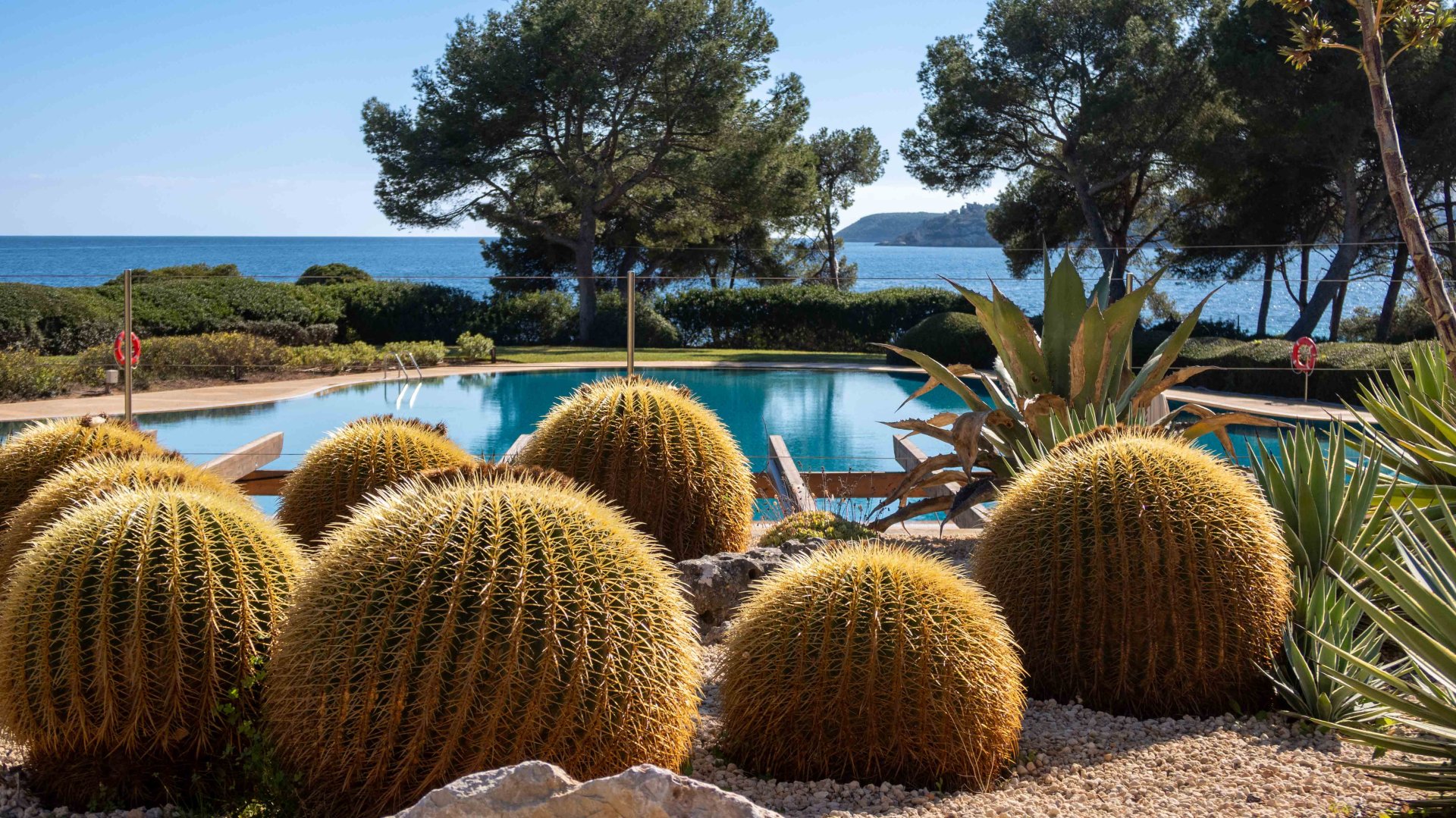 Apartment in Portals Nous, Mallorca, Spain 1 bedroom, 151 sq.m. No. 155754