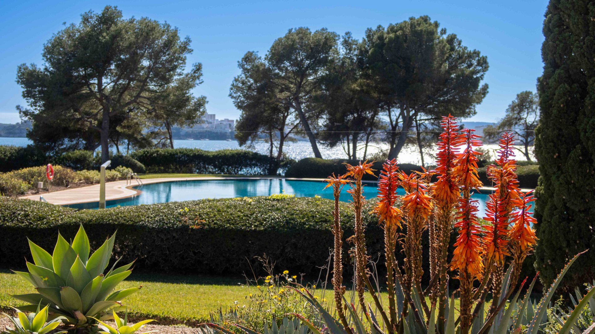 Apartment in Portals Nous, Mallorca, Spain 1 bedroom, 151 sq.m. No. 155754