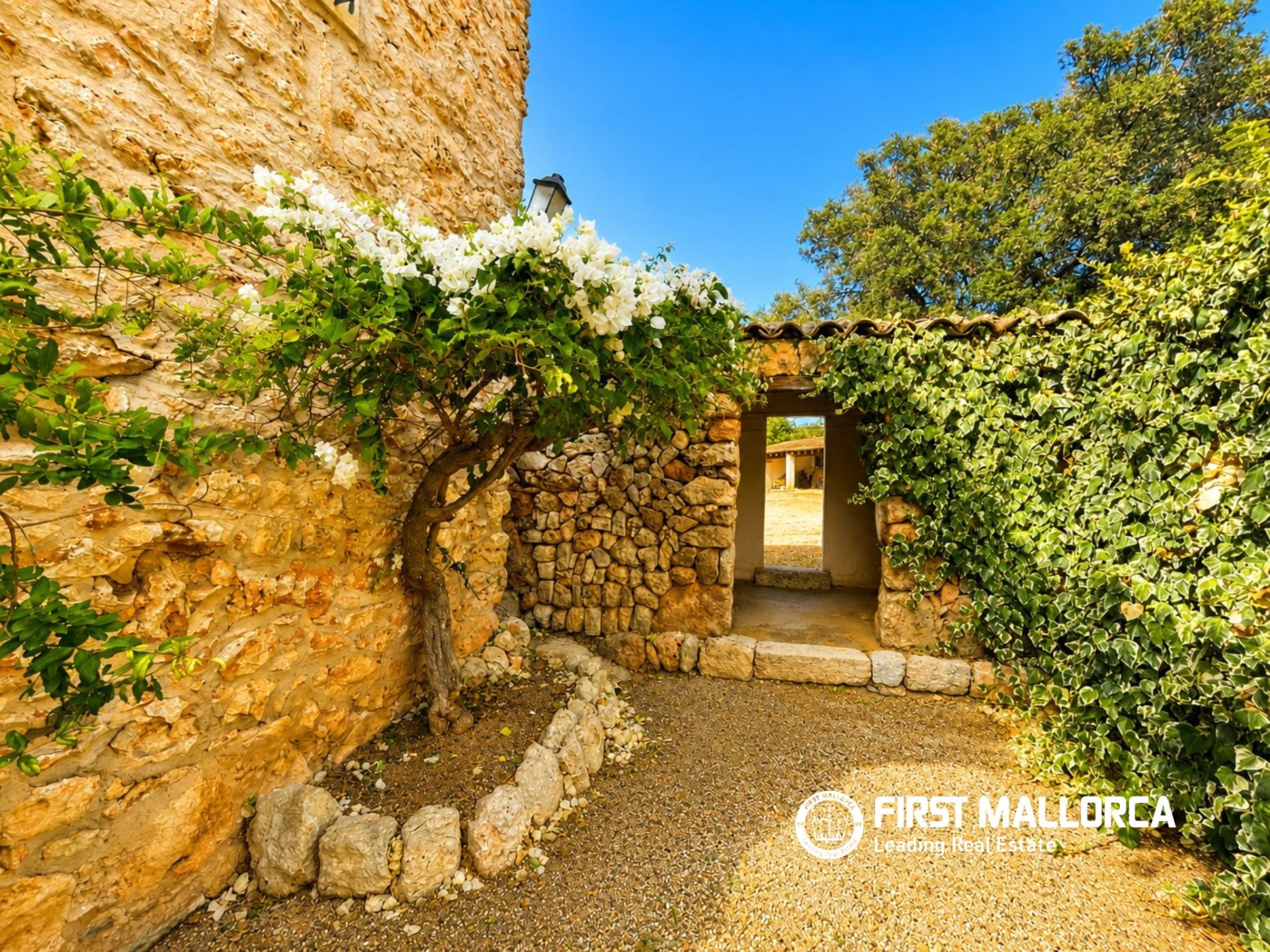 Finca in Costitx, Mallorca, Spanien 6 Schlafzimmer, 316 m2 Nr. 190826