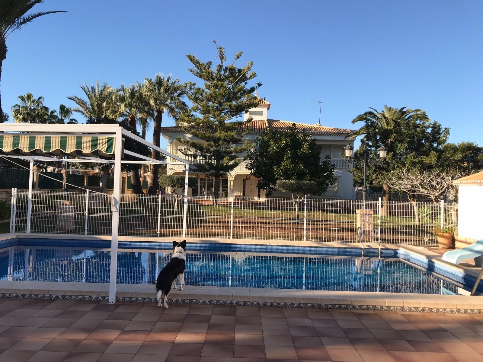 Villa i Cabo Roig, Alicante, Spanien 7 sovrum, 500 kvm. Nr. 115887
