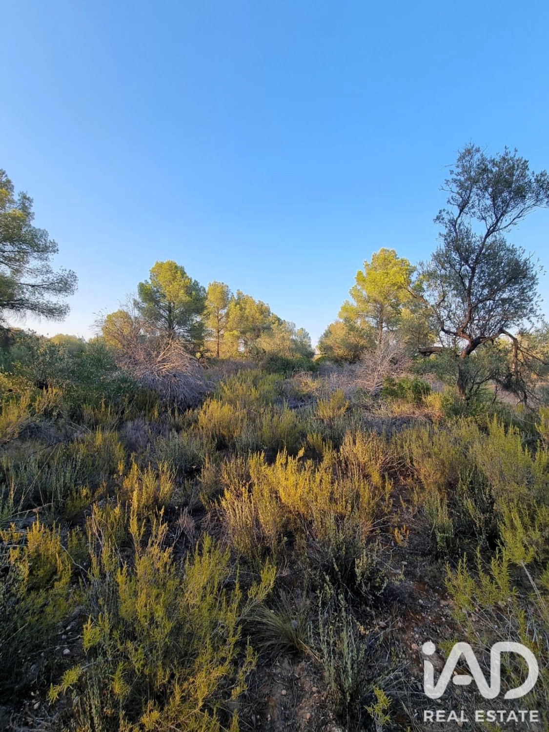 Land plot à Ginestar, Tarragona, Espagne 1439 m2 No. 194389