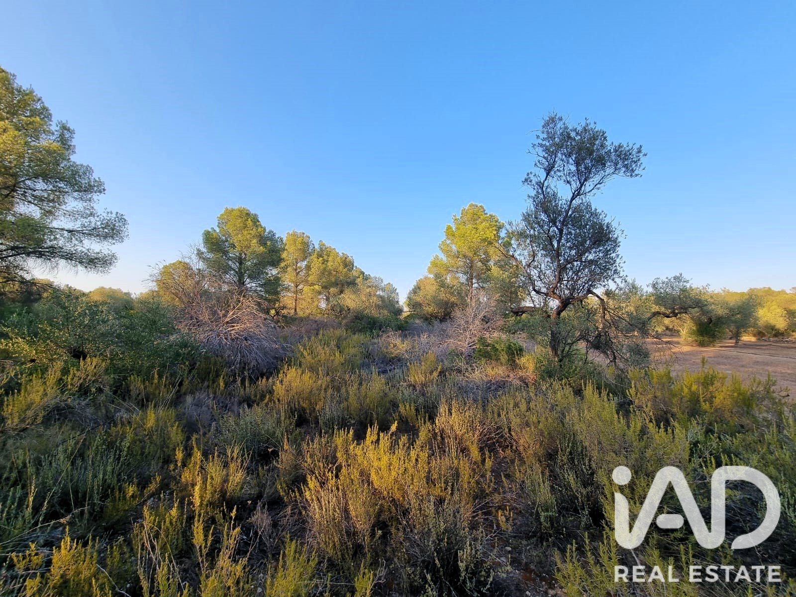 Land plot à Ginestar, Tarragona, Espagne 1439 m2 No. 194389