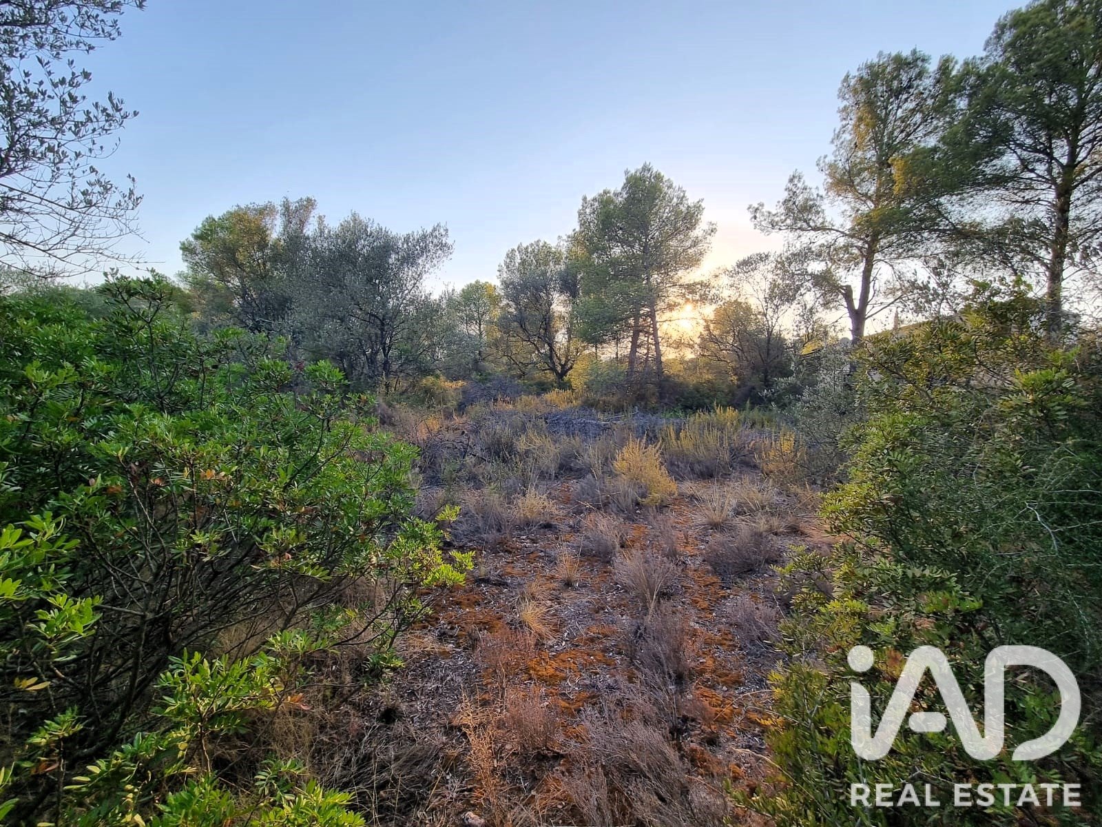 Land plot à Ginestar, Tarragona, Espagne 1439 m2 No. 194389