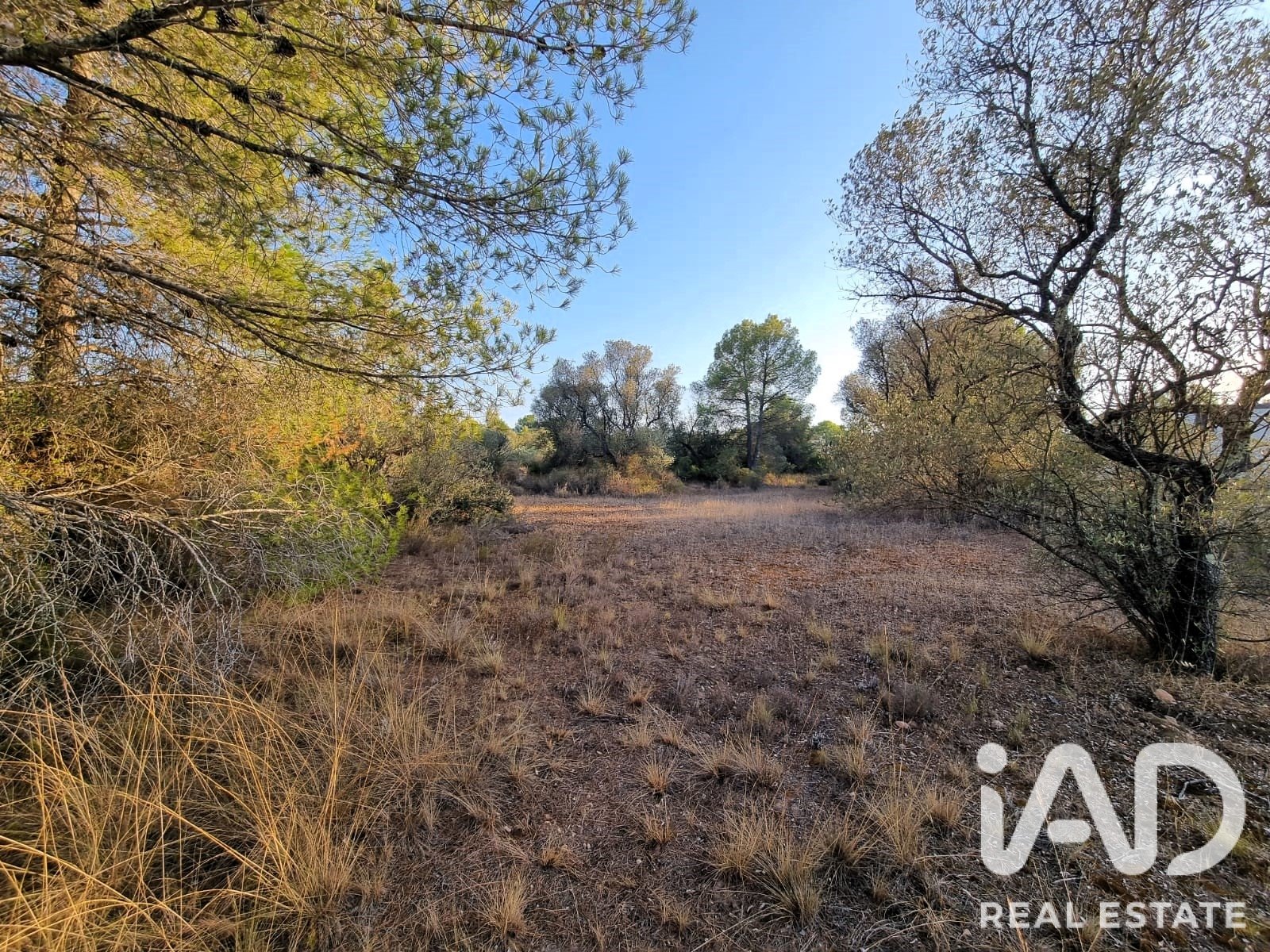 Land plot à Ginestar, Tarragona, Espagne 1439 m2 No. 194389