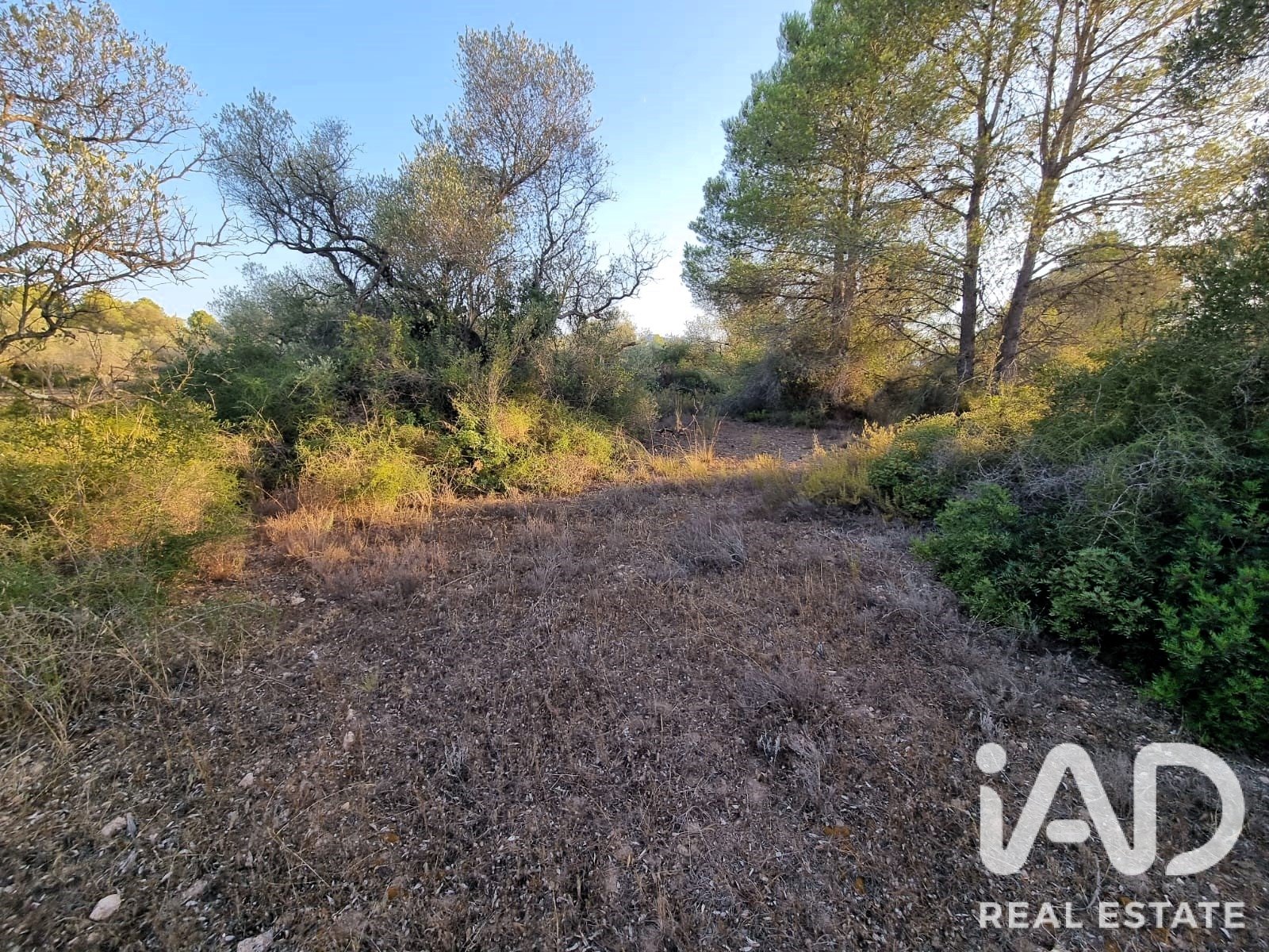 Land plot à Ginestar, Tarragona, Espagne 1439 m2 No. 194389