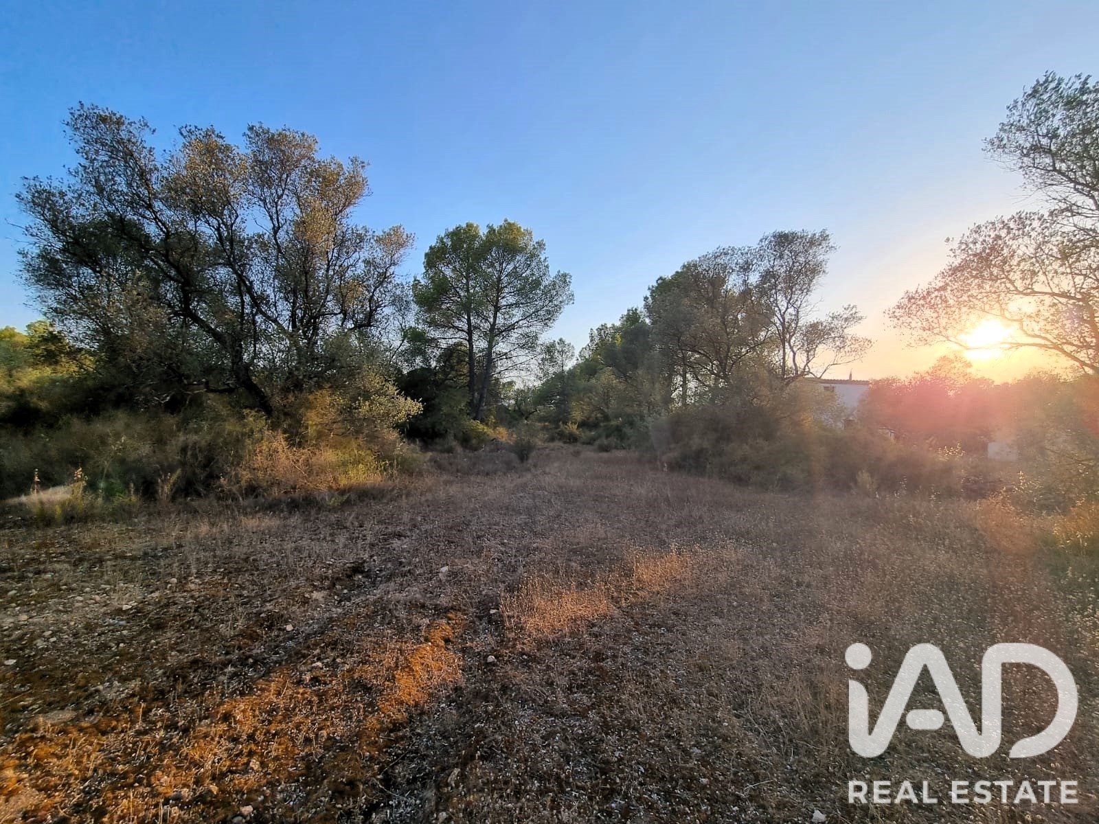 Land plot à Ginestar, Tarragona, Espagne 1439 m2 No. 194389