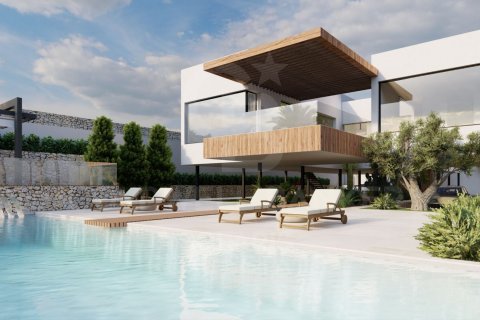 Land in Javea, Alicante, Spanien 1600 m2 Nr. 160056