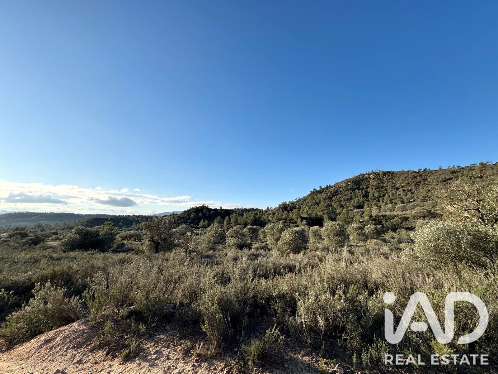 Land plot in Flix, Tarragona, Spain 335390 sq.m. No. 187532