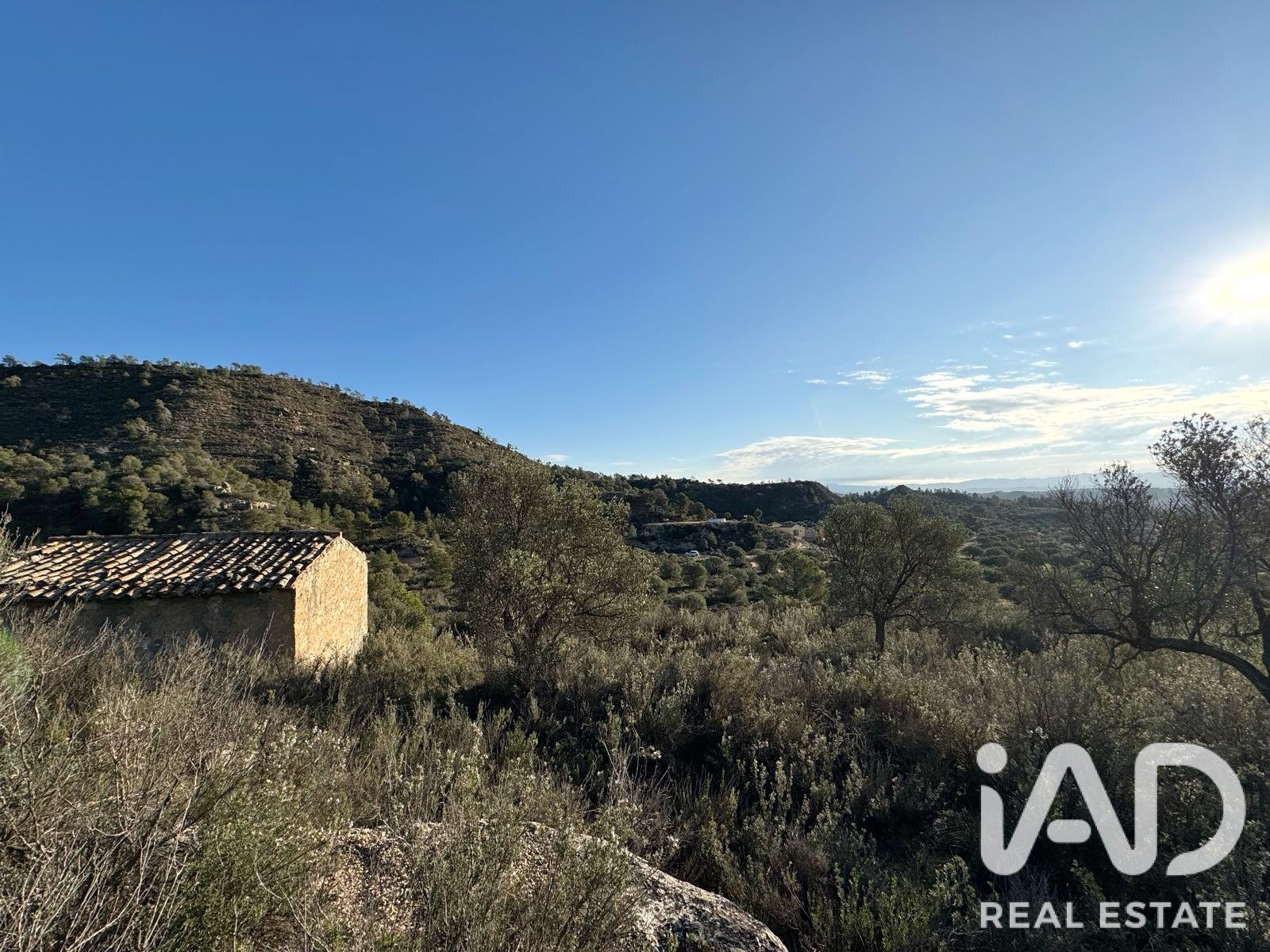 Land plot in Flix, Tarragona, Spain 335390 sq.m. No. 187532