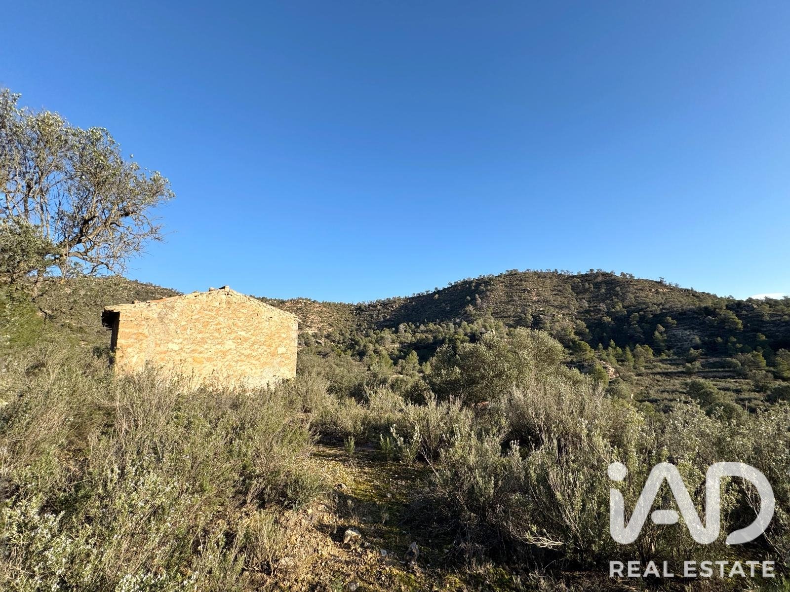 Land plot in Flix, Tarragona, Spain 335390 sq.m. No. 187532