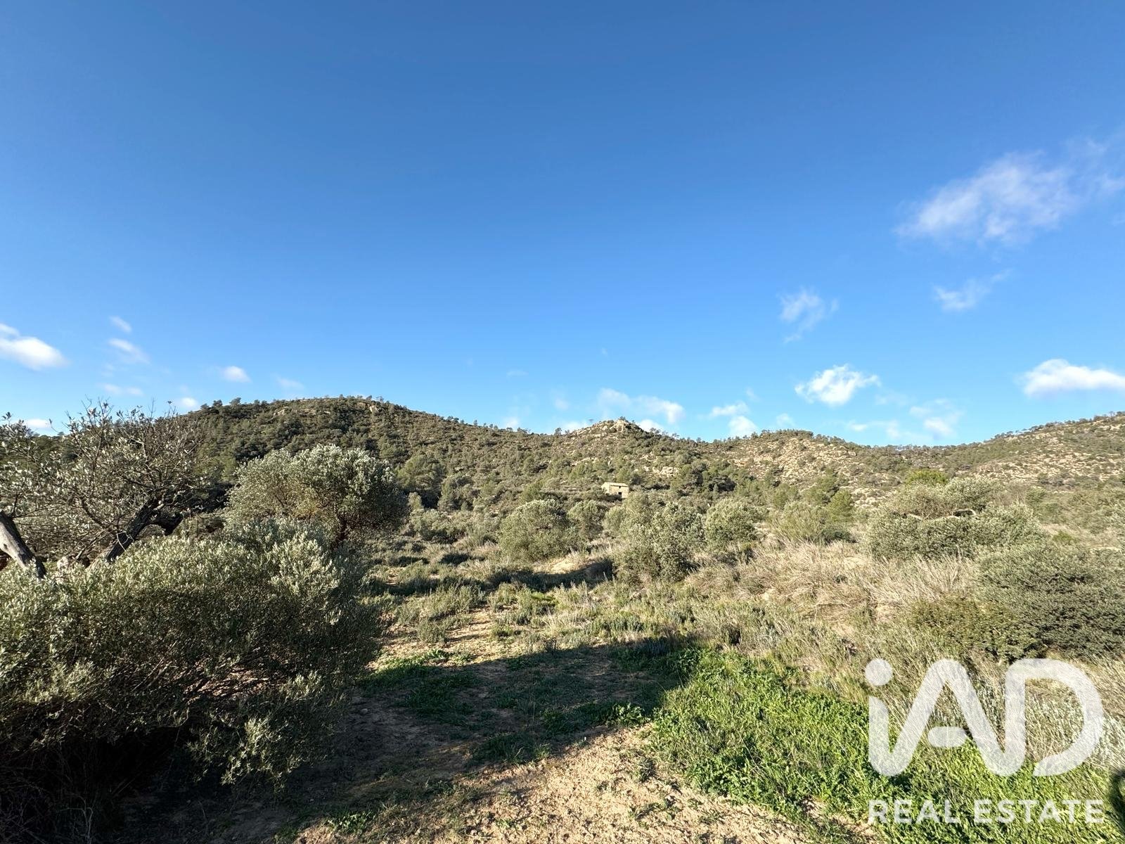 Land plot in Flix, Tarragona, Spain 335390 sq.m. No. 187532