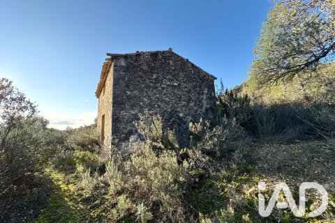 Land plot in Flix, Tarragona, Spain 335390 sq.m. No. 187532