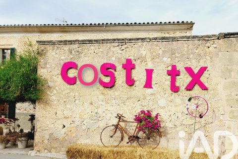 Land plot in Costitx, Mallorca, Spain 16603 sq.m. No. 184895