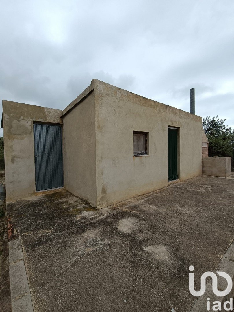 Land plot in El Perello, Tarragona, Spain 3500 sq.m. No. 192247