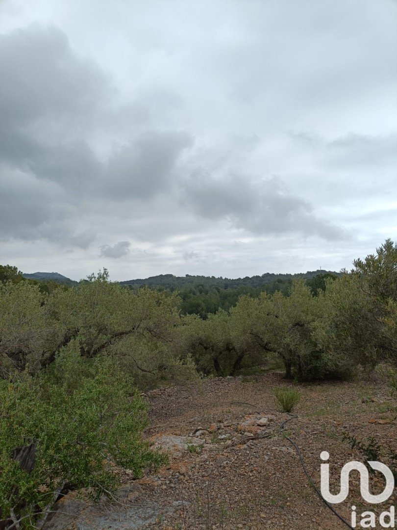 Land plot in El Perello, Tarragona, Spain 3500 sq.m. No. 192247
