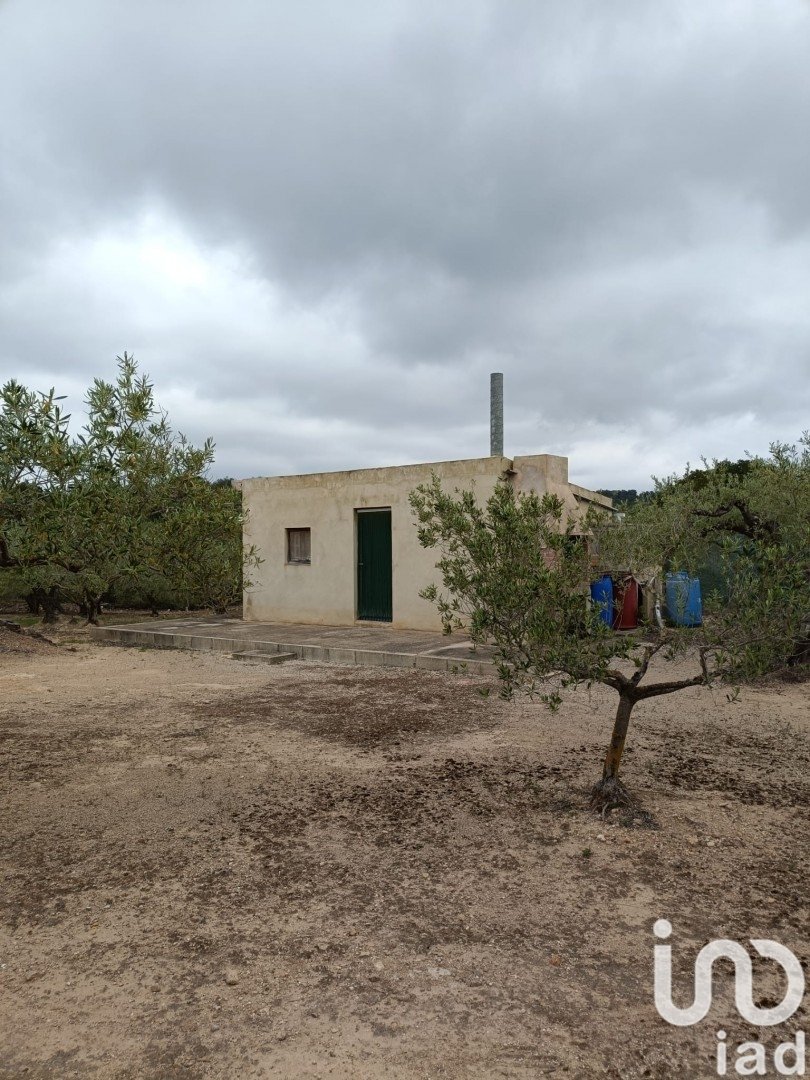 Land plot in El Perello, Tarragona, Spain 3500 sq.m. No. 192247