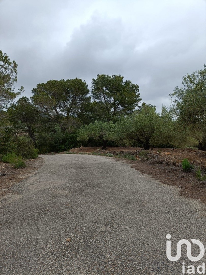 Land plot in El Perello, Tarragona, Spain 3500 sq.m. No. 192247
