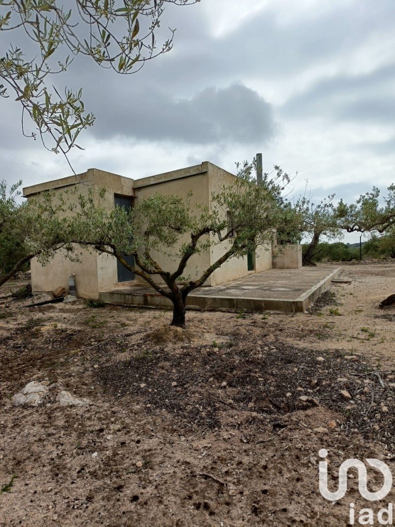 Land plot in El Perello, Tarragona, Spain 3500 sq.m. No. 192247