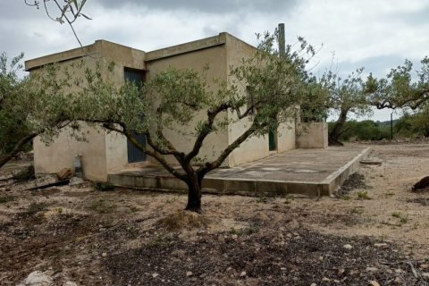 Zemes gabals El Perello, Tarragona, Spānijā 3500 m2 Nr. 192247