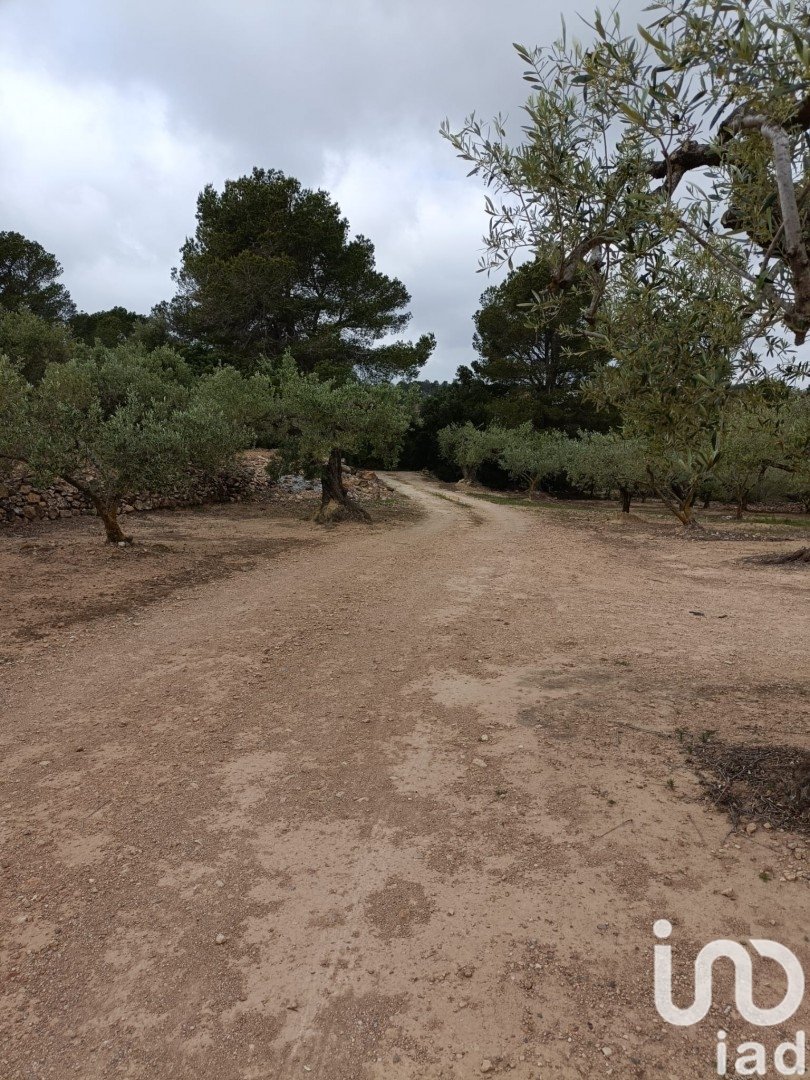 Land plot in El Perello, Tarragona, Spain 3500 sq.m. No. 192247
