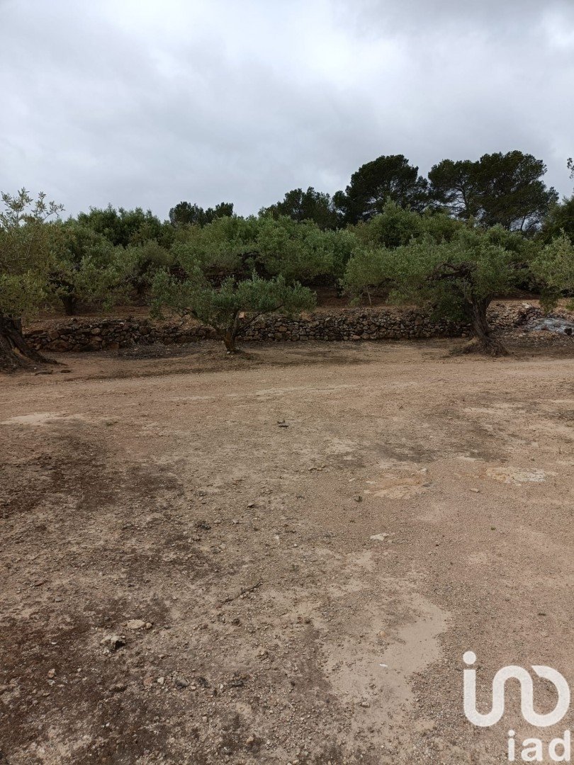 Land plot in El Perello, Tarragona, Spain 3500 sq.m. No. 192247