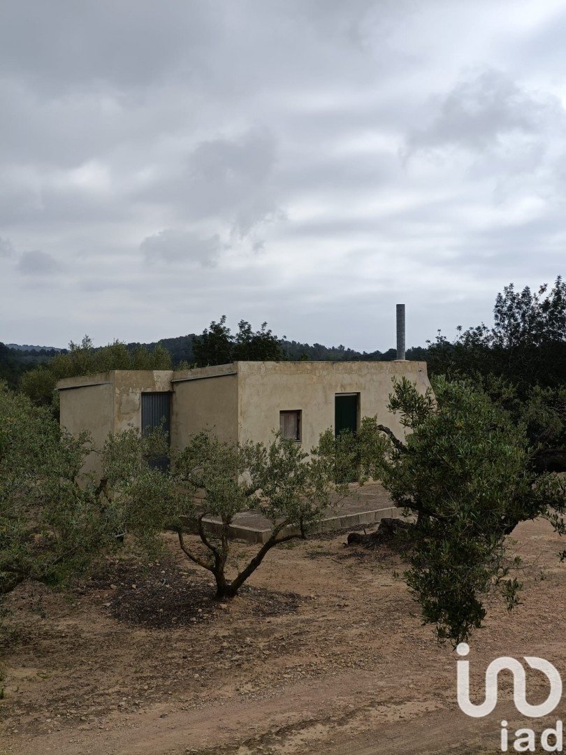 Land plot in El Perello, Tarragona, Spain 3500 sq.m. No. 192247