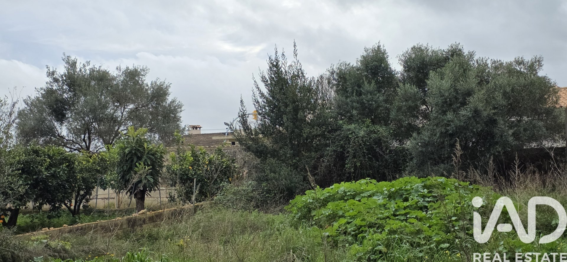 Parcela en Sant Llorenc Des Cardassar, Mallorca, España 235 m2 No. 185792