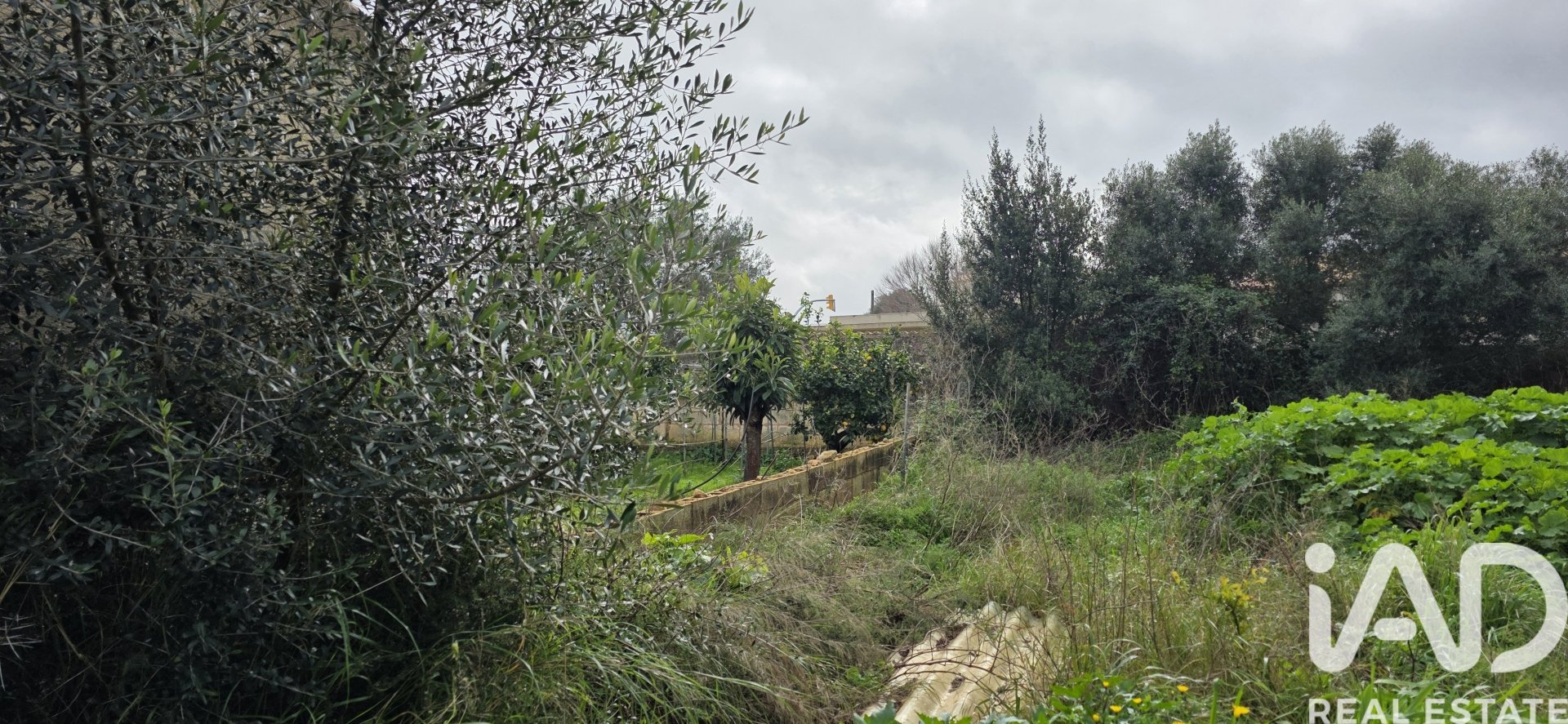 Parcela en Sant Llorenc Des Cardassar, Mallorca, España 235 m2 No. 185792