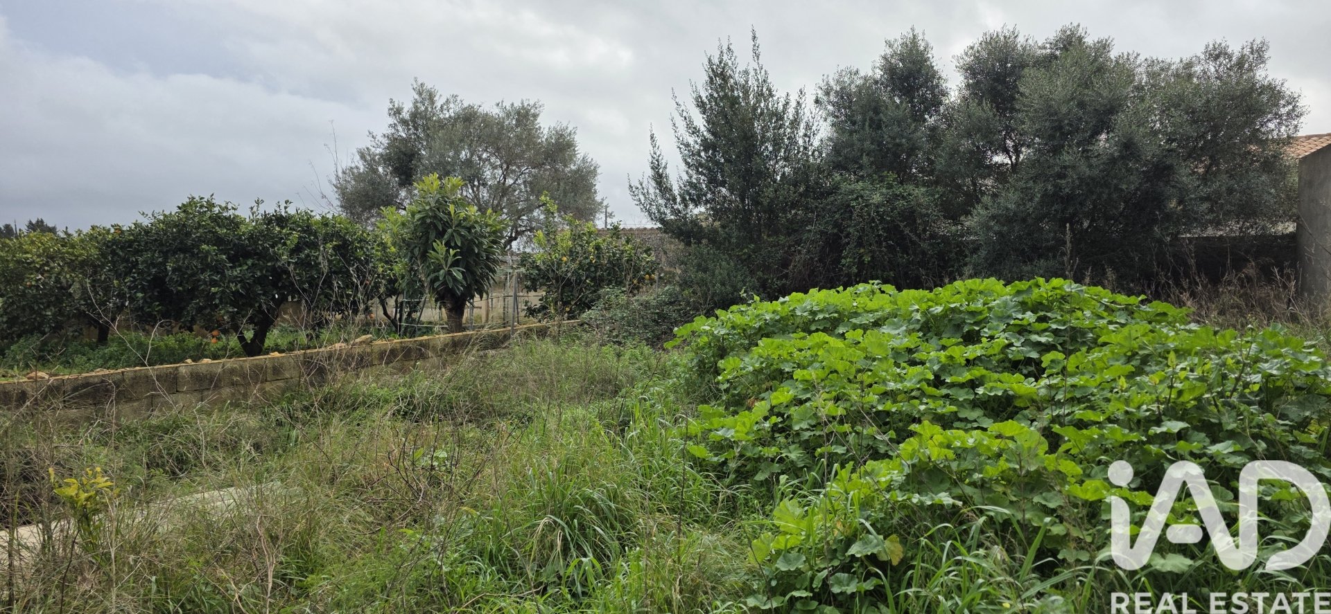 Parcela en Sant Llorenc Des Cardassar, Mallorca, España 235 m2 No. 185792