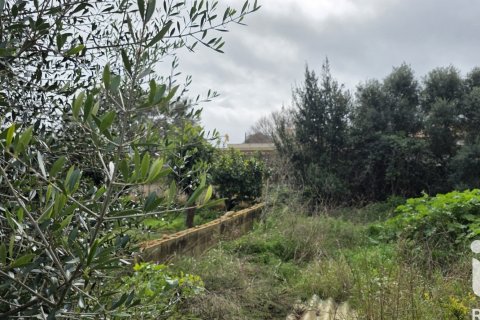 Land plot à Sant Llorenc Des Cardassar, Mallorca, Espagne 235 m2 No. 185792
