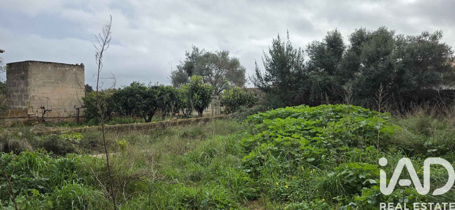 Parcela en Sant Llorenc Des Cardassar, Mallorca, España 235 m2 No. 185792