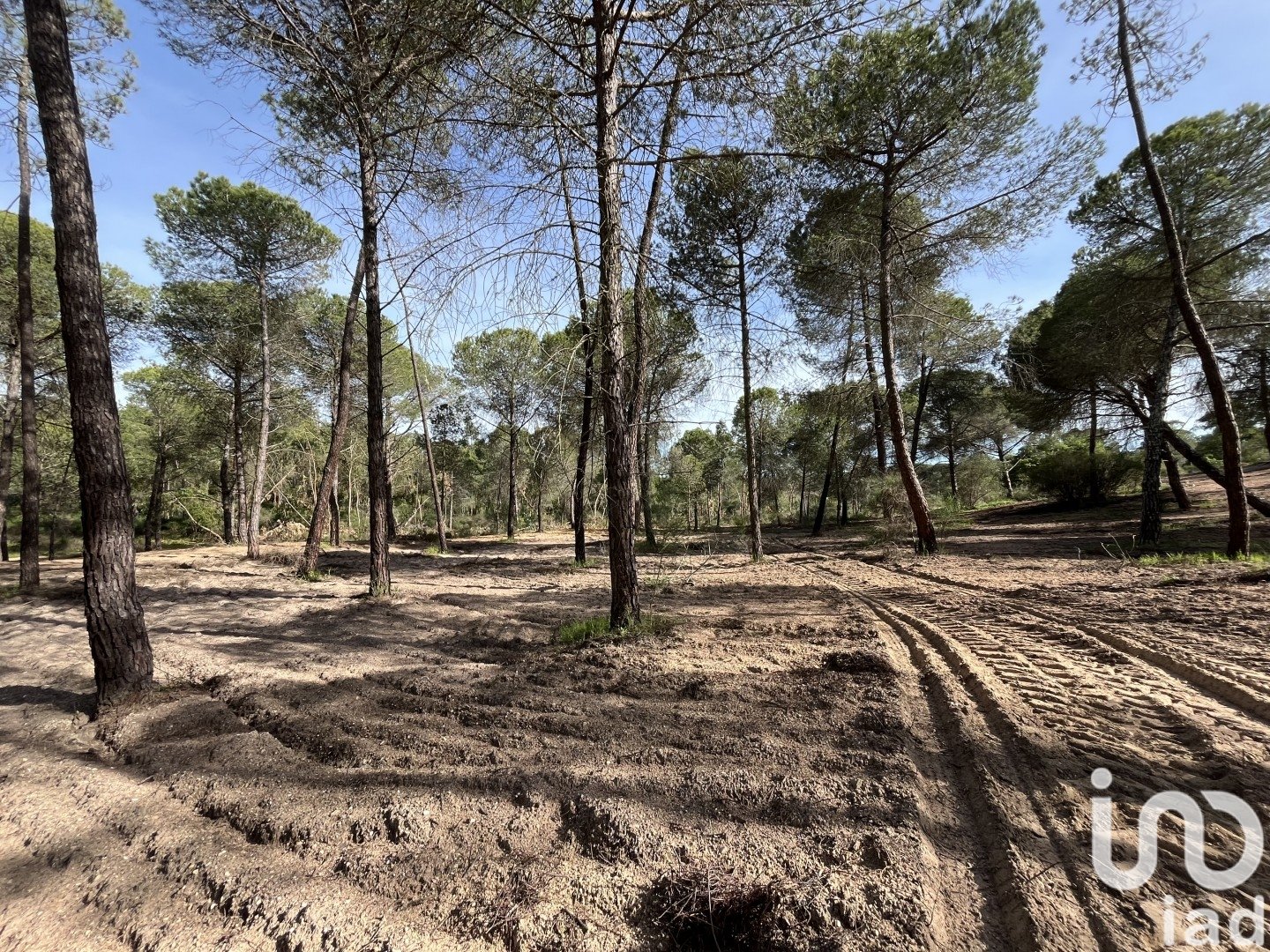 Land plot in Villablanca, Huelva, Spain 16000 sq.m. No. 186122