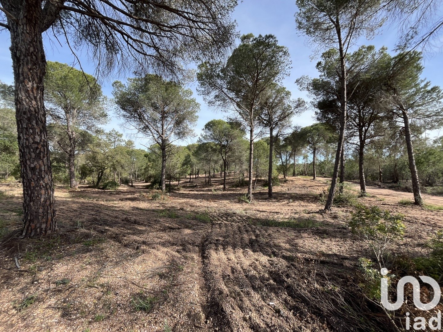 Land plot in Villablanca, Huelva, Spain 16000 sq.m. No. 186122