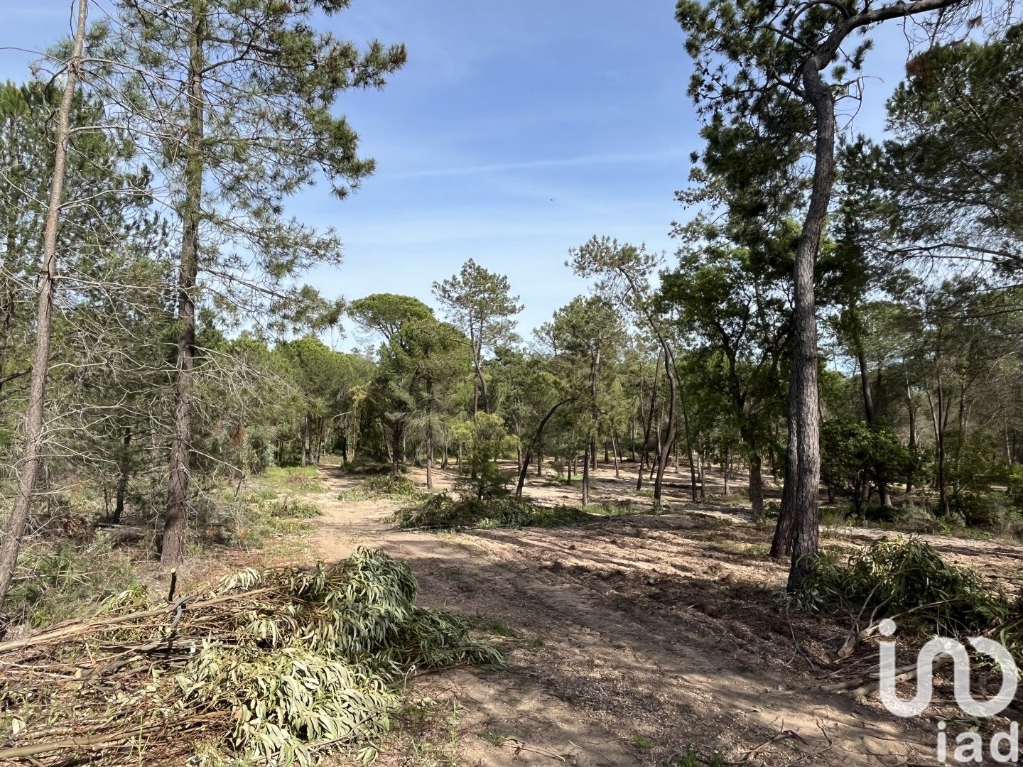 Land plot in Villablanca, Huelva, Spain 16000 sq.m. No. 186122