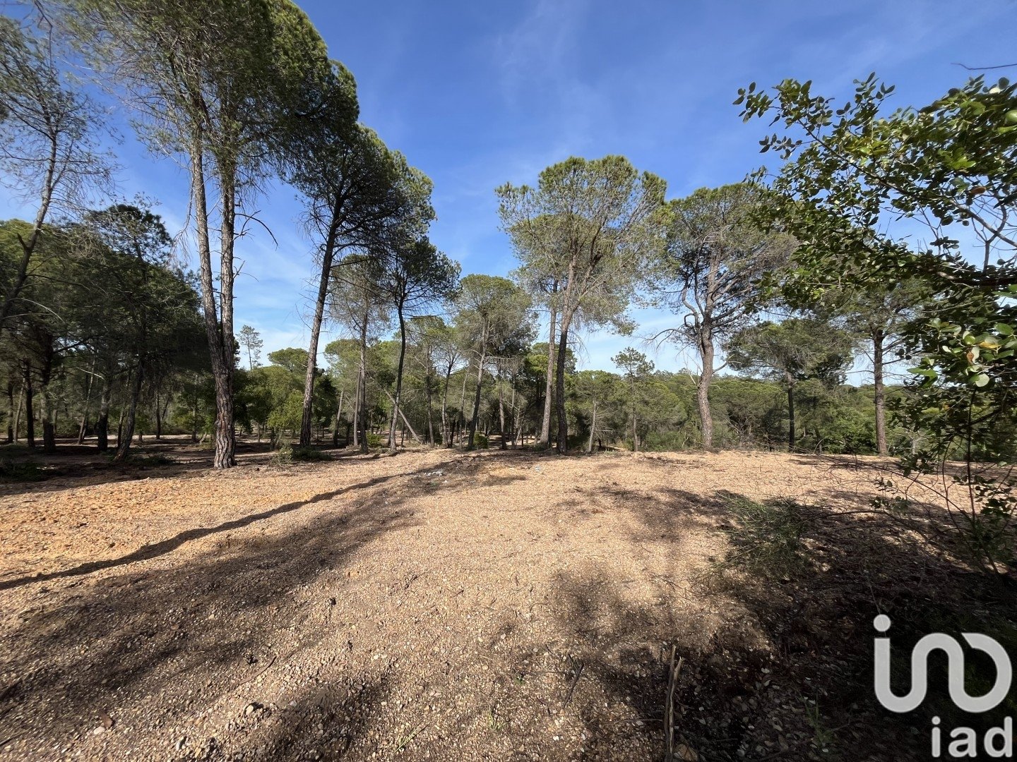Land plot in Villablanca, Huelva, Spain 16000 sq.m. No. 186122