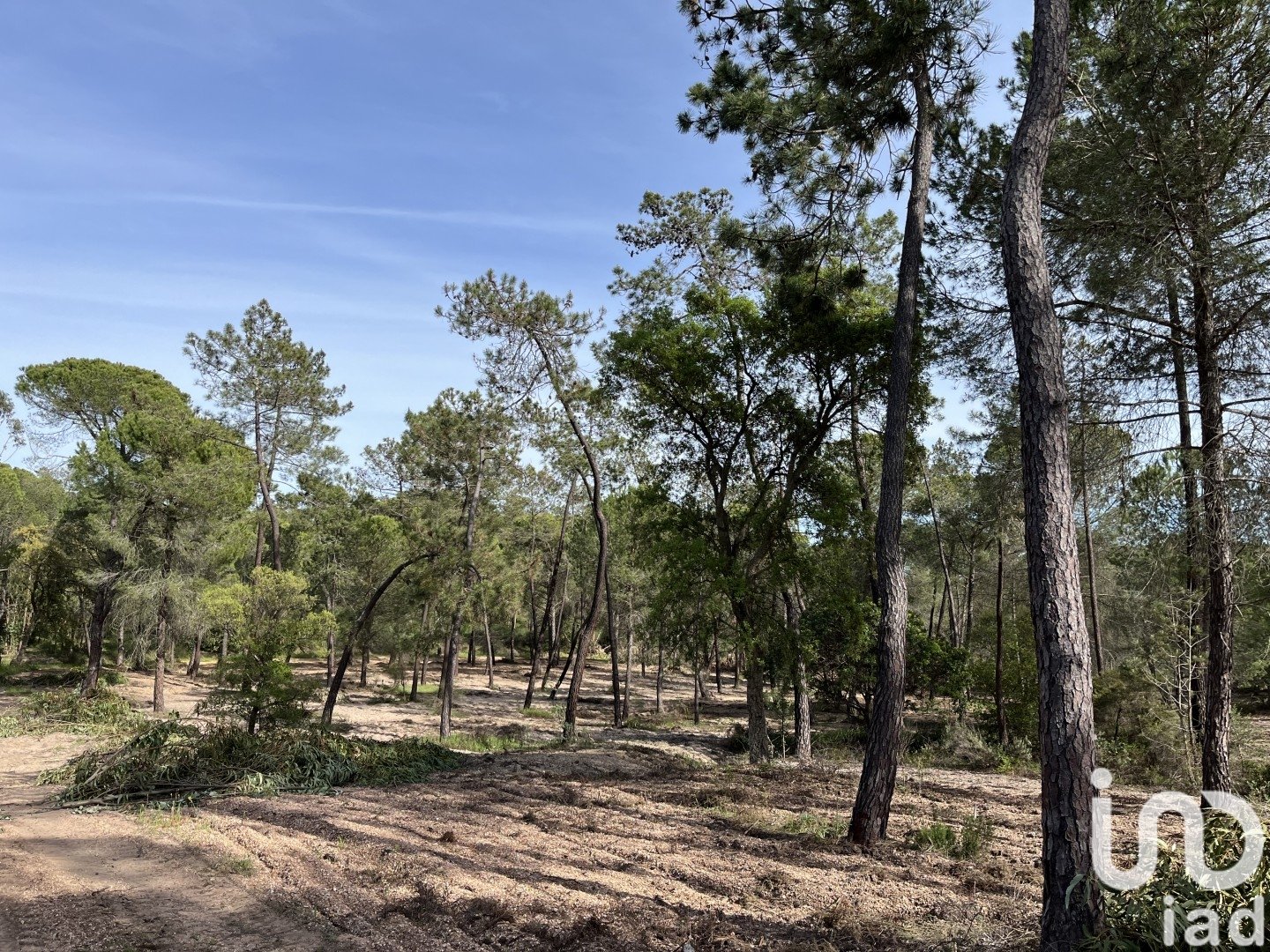 Land plot in Villablanca, Huelva, Spain 16000 sq.m. No. 186122