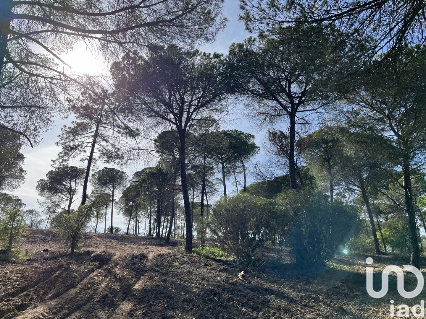Land plot in Villablanca, Huelva, Spain 16000 sq.m. No. 186122