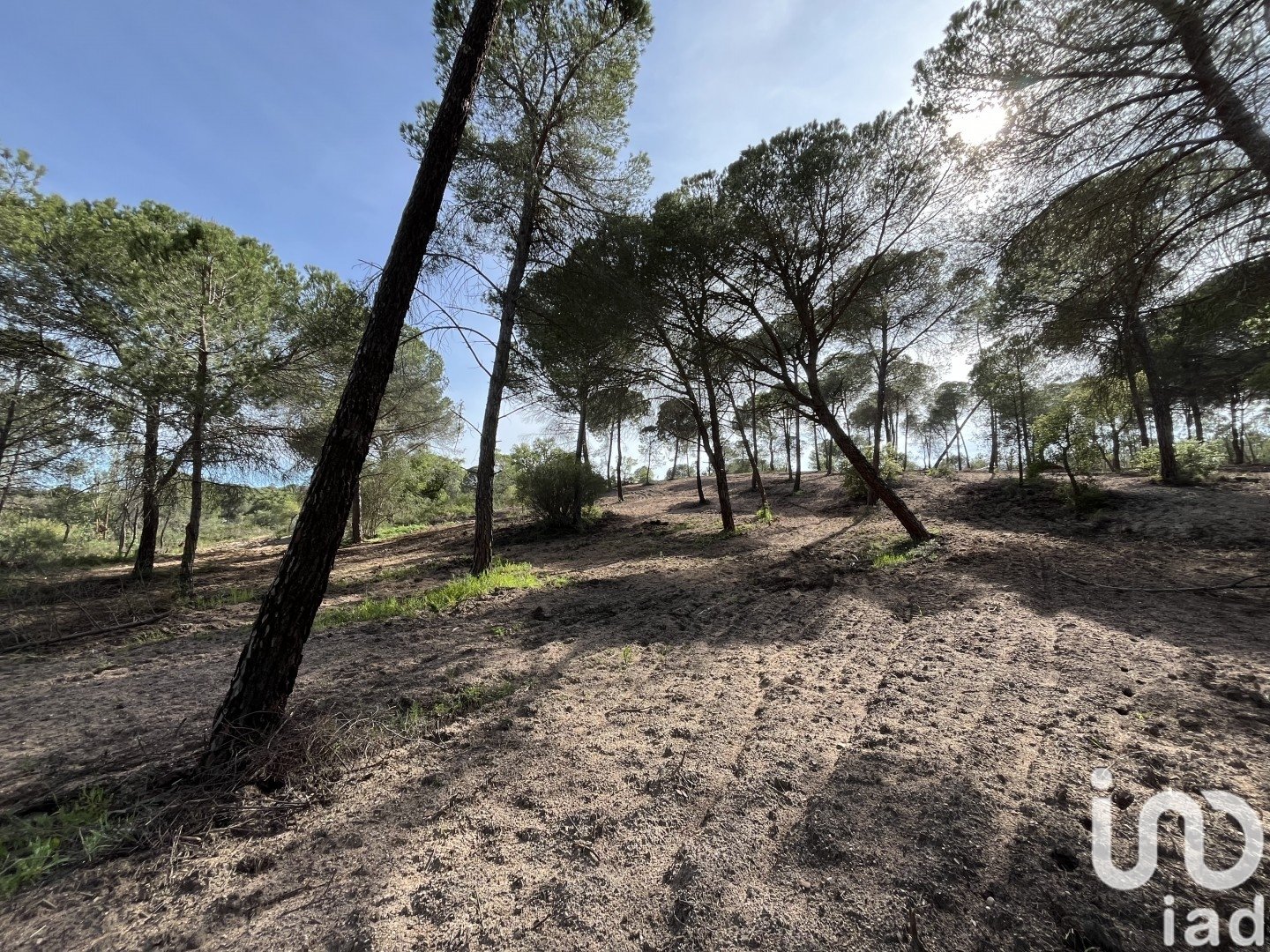 Land plot in Villablanca, Huelva, Spain 16000 sq.m. No. 186122