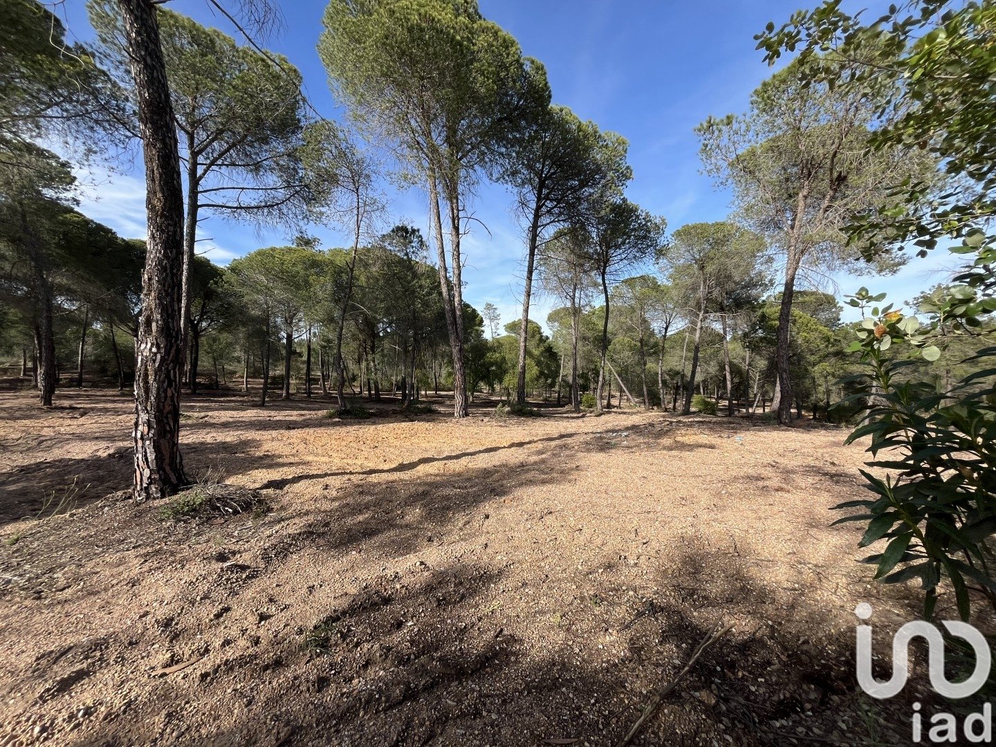 Land plot in Villablanca, Huelva, Spain 16000 sq.m. No. 186122