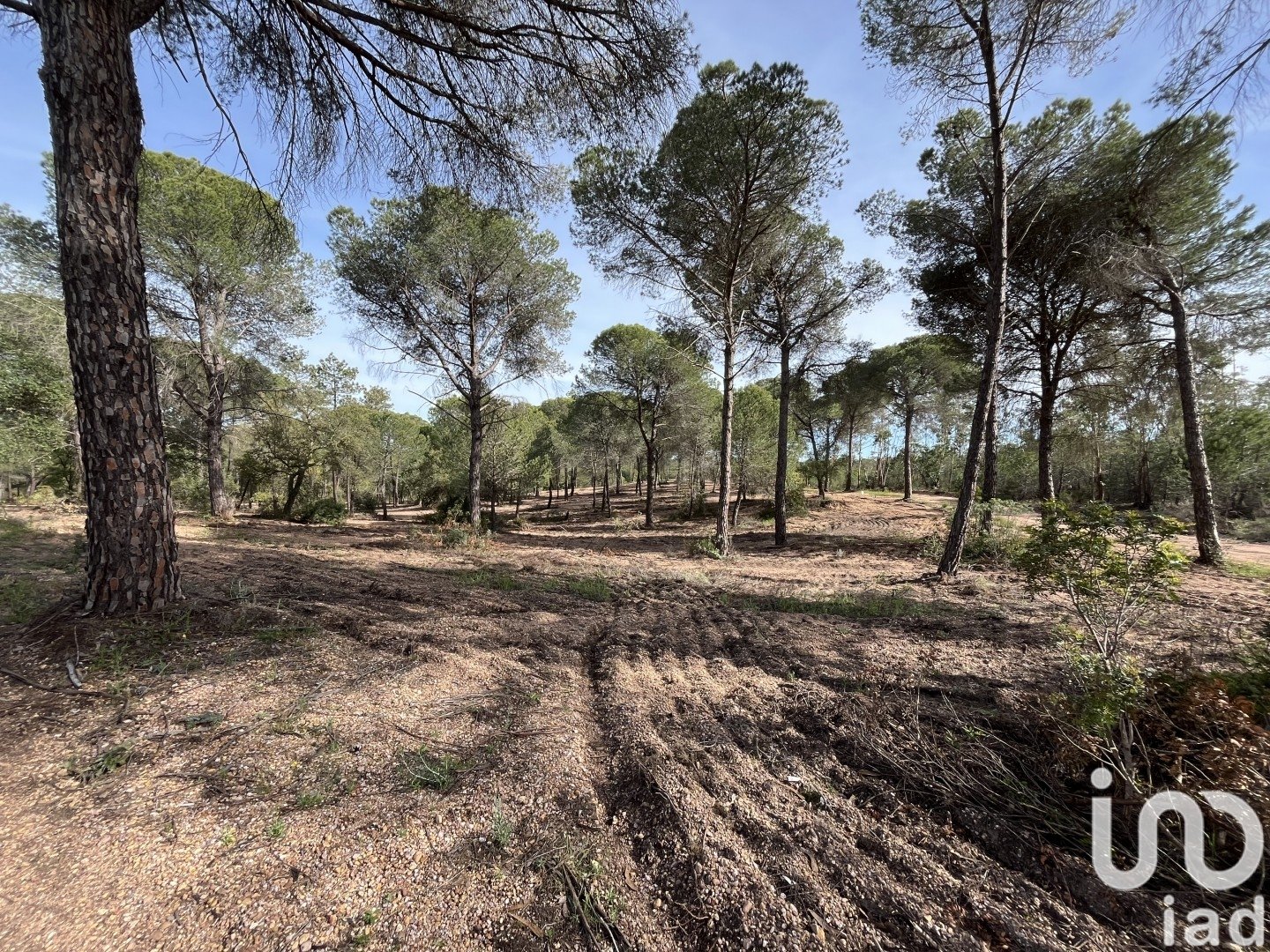 Land plot in Villablanca, Huelva, Spain 16000 sq.m. No. 186122