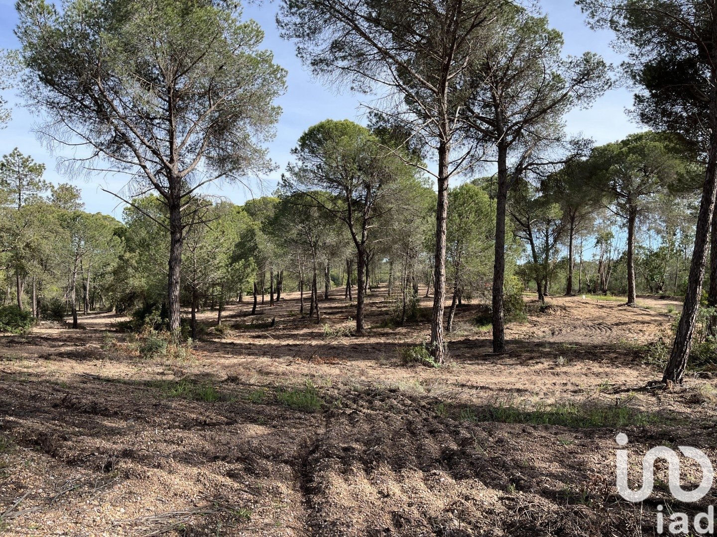 Land plot in Villablanca, Huelva, Spain 16000 sq.m. No. 186122