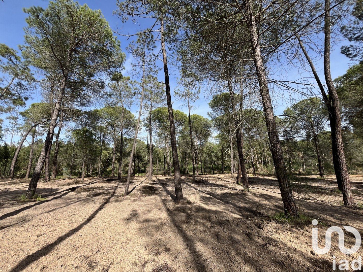 Land plot in Villablanca, Huelva, Spain 16000 sq.m. No. 186122