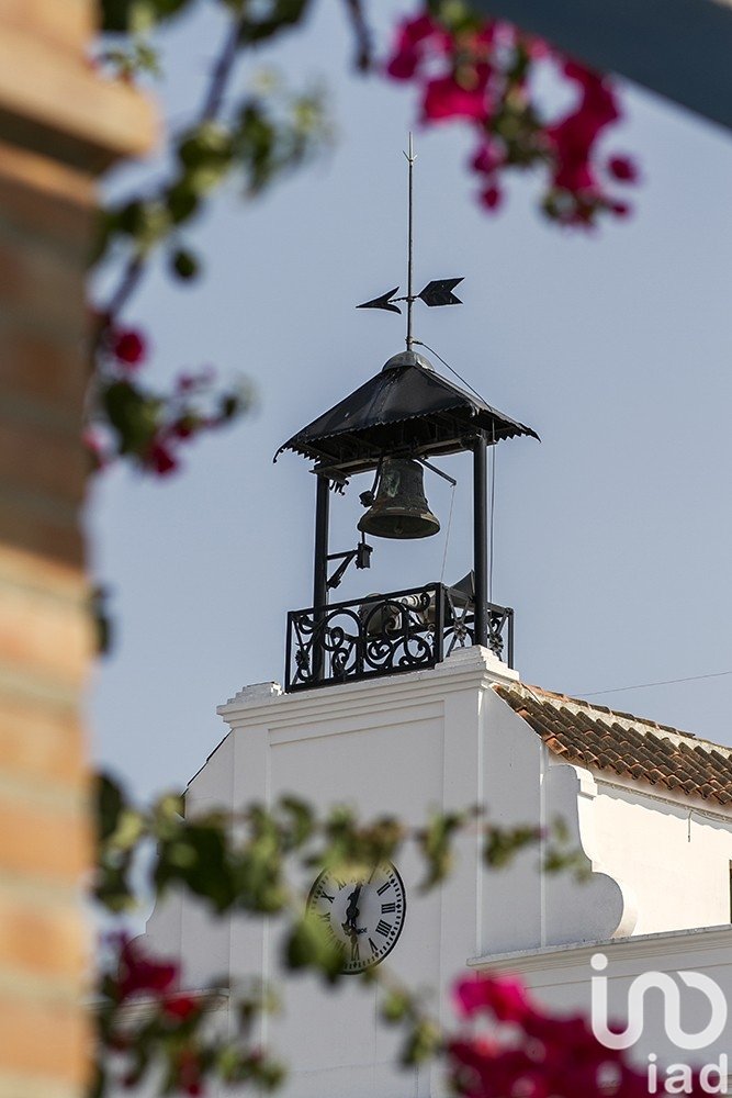 Land plot in Villablanca, Huelva, Spain 16000 sq.m. No. 186122