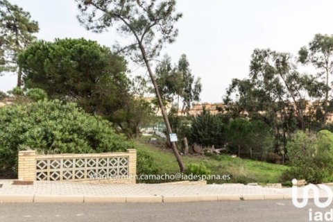 Parcela en Lepe, Huelva, España 850 m2 No. 186118