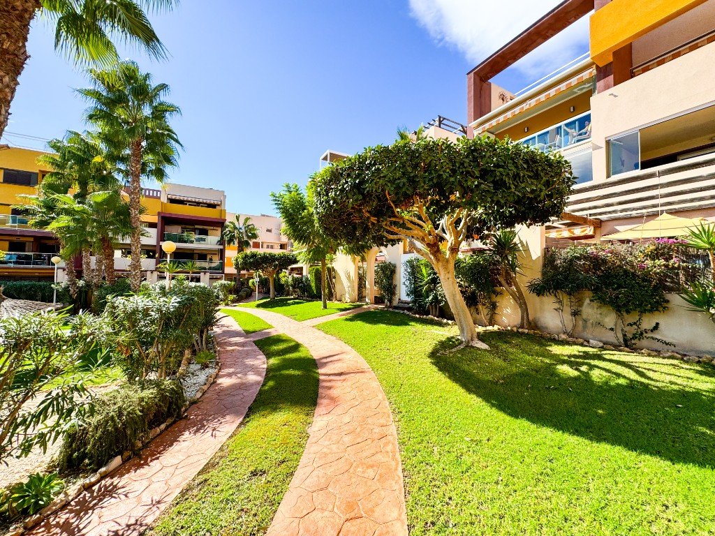 Lägenhet i Playa Flamenca II, Alicante, Spanien 2 sovrum, 68 kvm. Nr. 145264