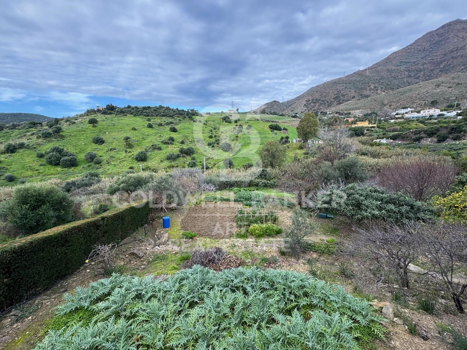 Villa à Estepona, Malaga, Espagne 4 chambres, 160 m2 No. 158809