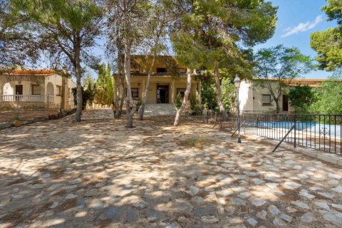 Villa a Torrevieja, Alicante, Spagna 6 camere da letto, 350 mq. N° 193365