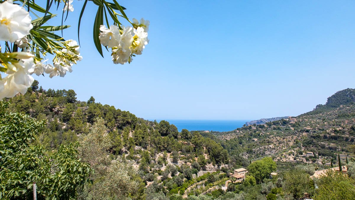 Finka w Deia, Mallorca, Hiszpania 6 sypialni, 305 mkw. nr 73166